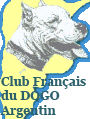 Club Francais du Dogue Argentin